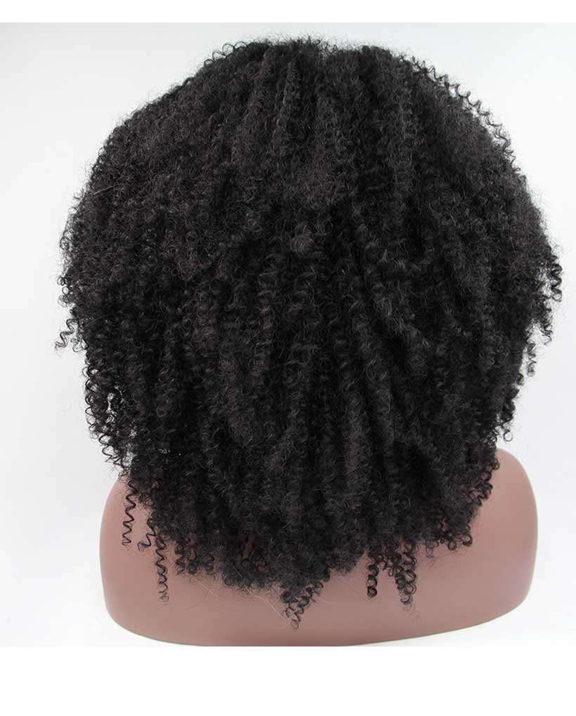 Natural Black Afro Kinky Lace Front Wigs For Black Women 5558